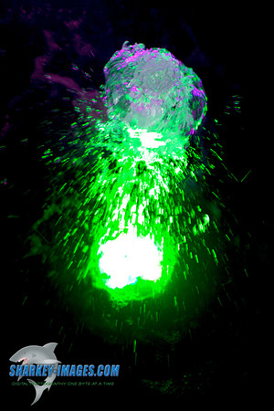 110817C 44 - Version 2