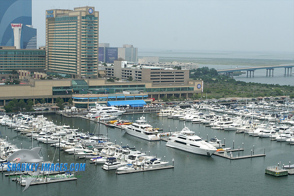062609B 86 - Version 2.jpg