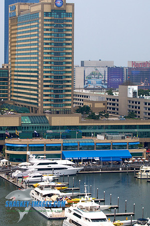 062609D 314 - Version 2.jpg