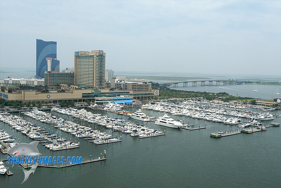 062609B 85 - Version 2.jpg