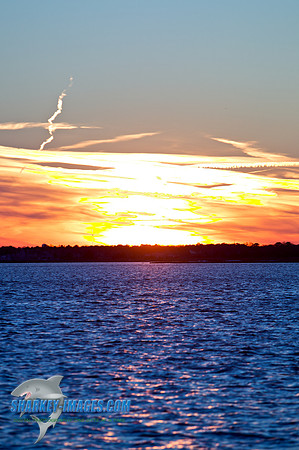 110203A  1482 - Version 2