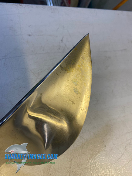 FB7DD302-0A83-466E-A96A-C06CE91E7525