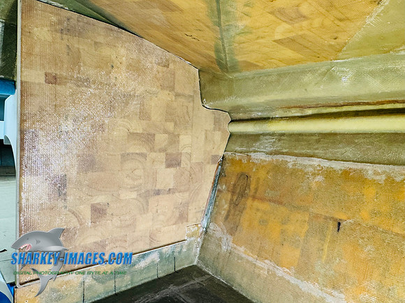 IMG_2687