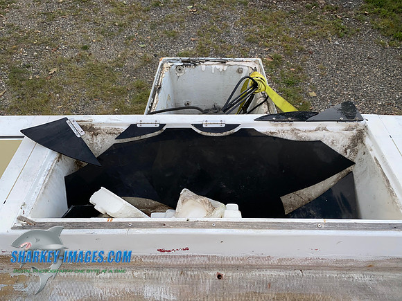 D1CB5B81-B509-439E-B35A-8FA45BC54BEE