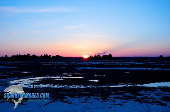 022010_ 15 - Version 2.jpg