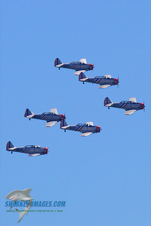 110817A 100 - Version 2