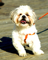 120101 15 - Version 2