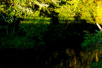 110602A 28 - Version 2
