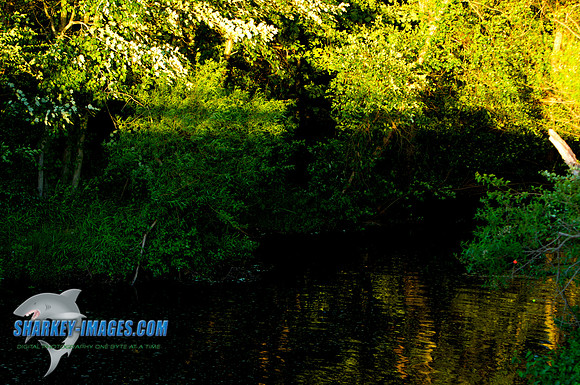 110602A 28 - Version 2
