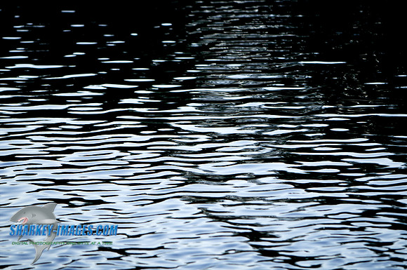 110602A 74 - Version 2