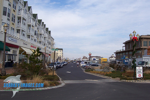 LB 009.jpg