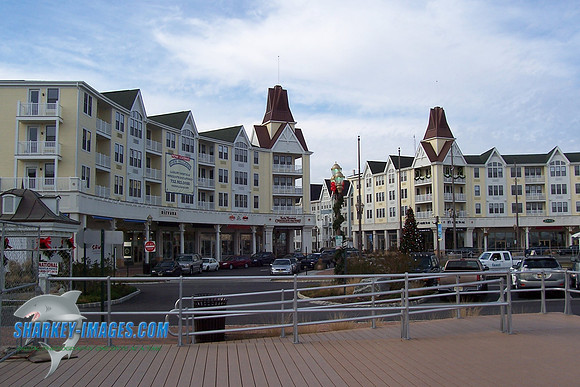 LB 010.jpg