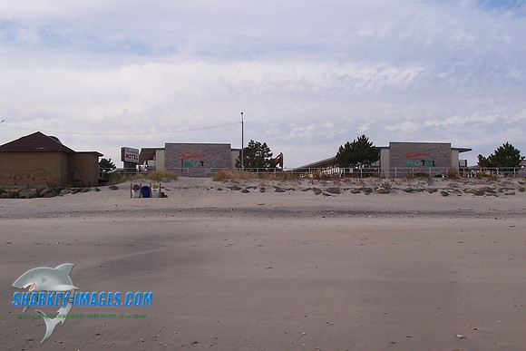 LB 008.jpg