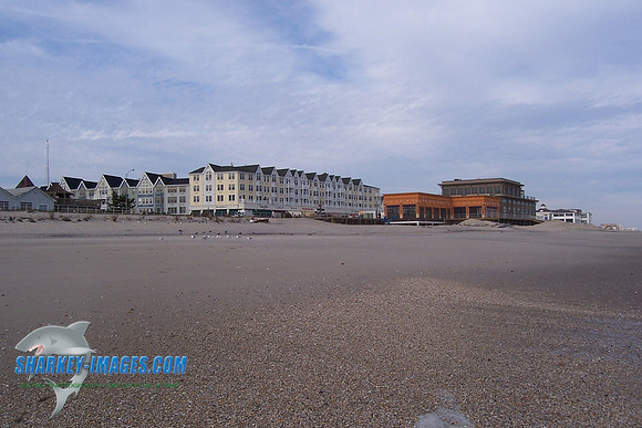LB 006.jpg