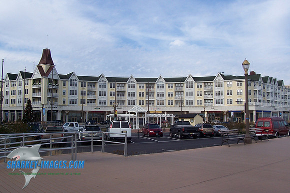 LB 011.jpg