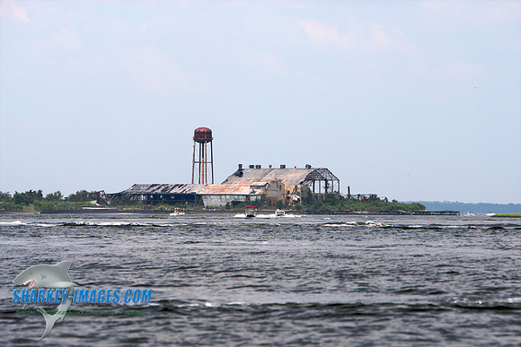 0801609 42 - Version 2.jpg