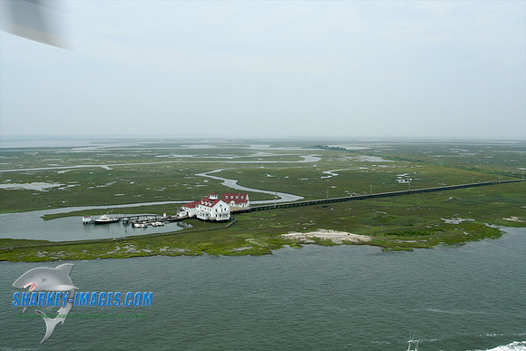062609B 139 - Version 2.jpg