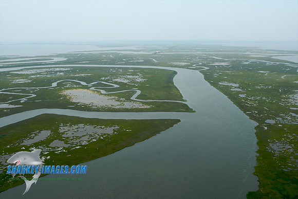 062609B 142 - Version 2.jpg