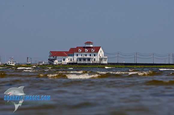0801609 65 - Version 2.jpg