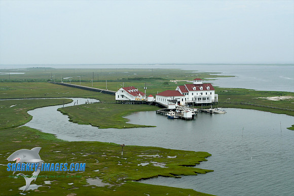 062609B 123 - Version 2.jpg