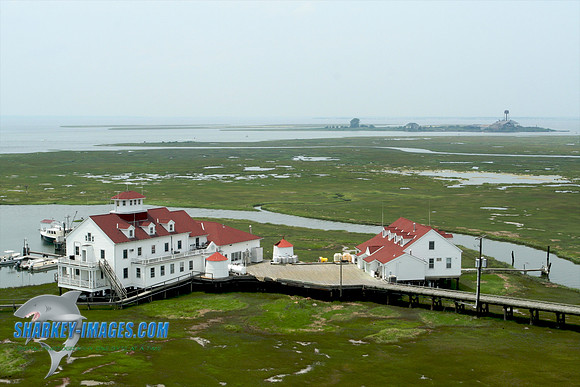 062609B 131 - Version 2.jpg