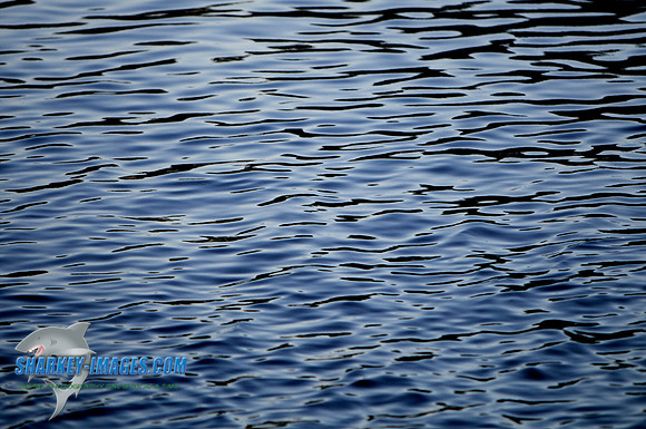 110602A 75 - Version 2