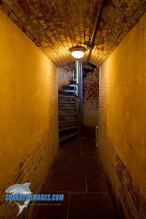 110409 14 - Version 2