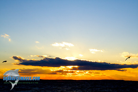 121009_ 27 - Version 2.jpg