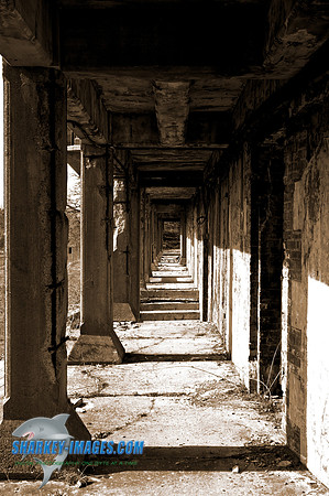 110409 52 - Version 2