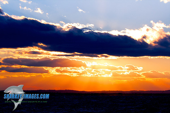 121009_ 31 - Version 2.jpg
