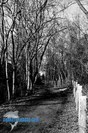 110409 48 - Version 2