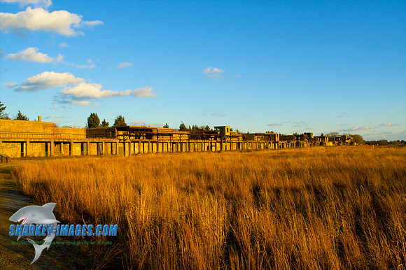 121009_ 21 - Version 2.jpg
