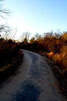 121009_ 20 - Version 2.jpg