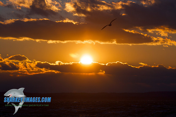 121009_ 47 - Version 2.jpg