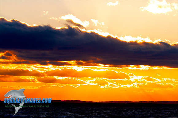 121009_ 28 - Version 2.jpg