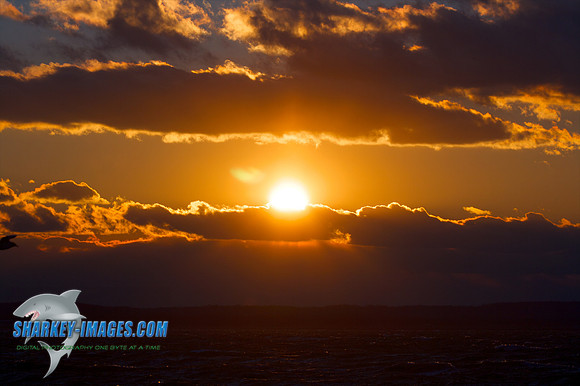 121009_ 46 - Version 2.jpg