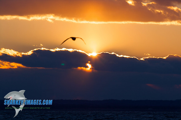 121009_ 56 - Version 2.jpg