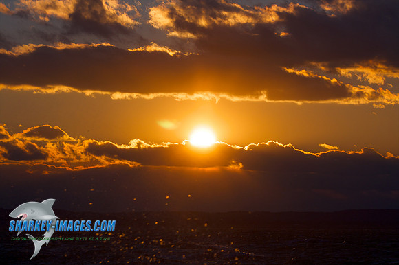 121009_ 48 - Version 2.jpg