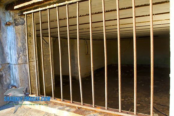 121009_ 19 - Version 2.jpg