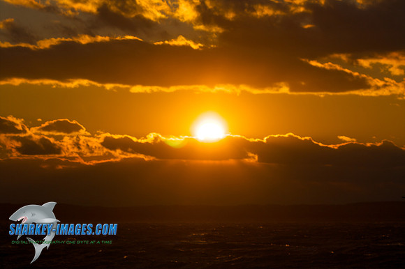 121009_ 44 - Version 2.jpg
