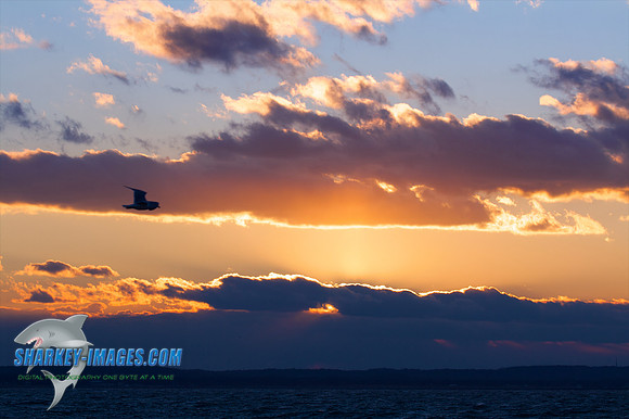 121009_ 60 - Version 2.jpg