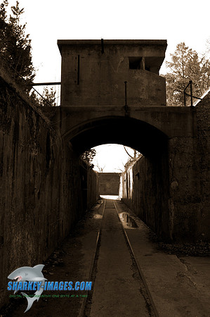 110409 43 - Version 2