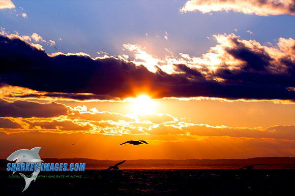 121009_ 35 - Version 2.jpg