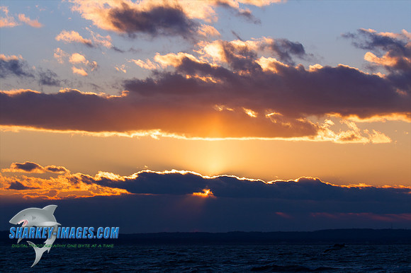 121009_ 58 - Version 2.jpg