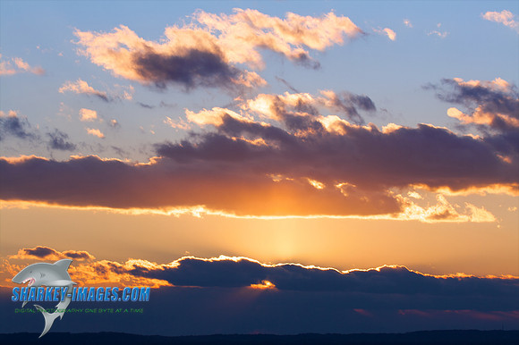 121009_ 59 - Version 2.jpg