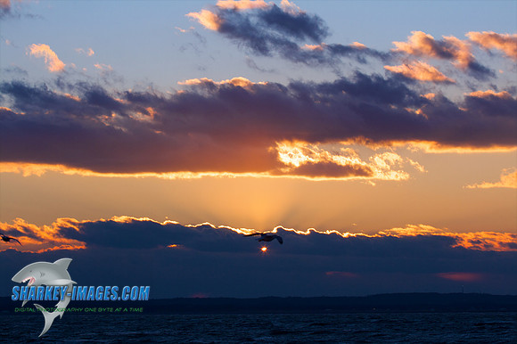 121009_ 64 - Version 2.jpg