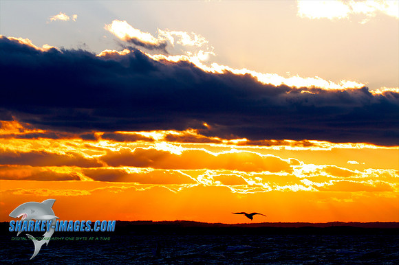 121009_ 29 - Version 2.jpg