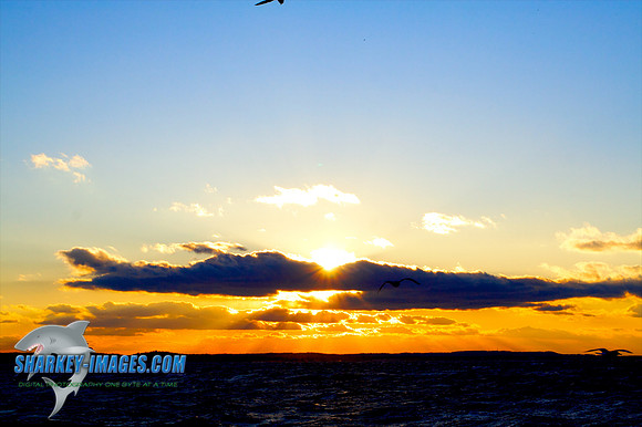 121009_ 26 - Version 2.jpg
