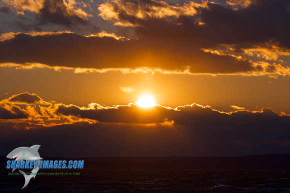121009_ 49 - Version 2.jpg