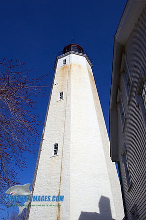110409 37 - Version 2